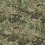 CANVAS PRINT CAMOUFLAGE • GREEN